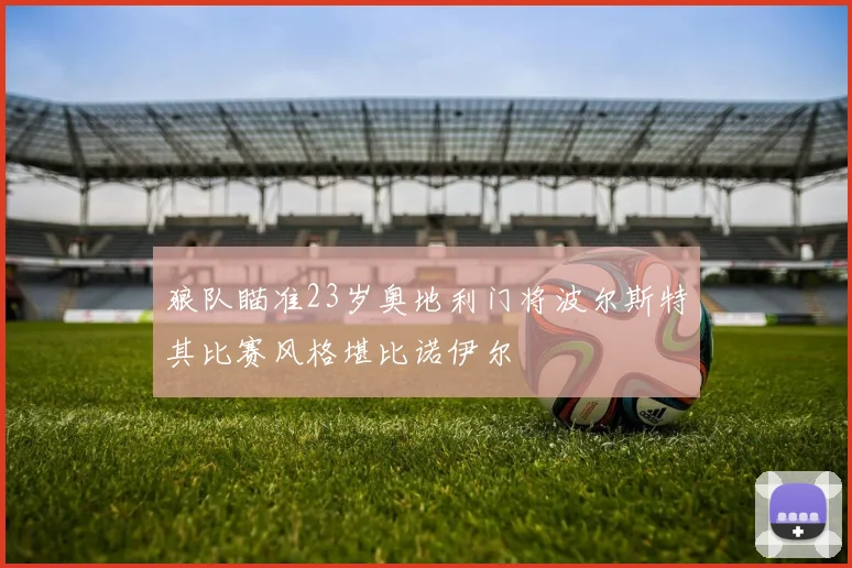狼队瞄准23岁奥地利门将波尔斯特其比赛风格堪比诺伊尔