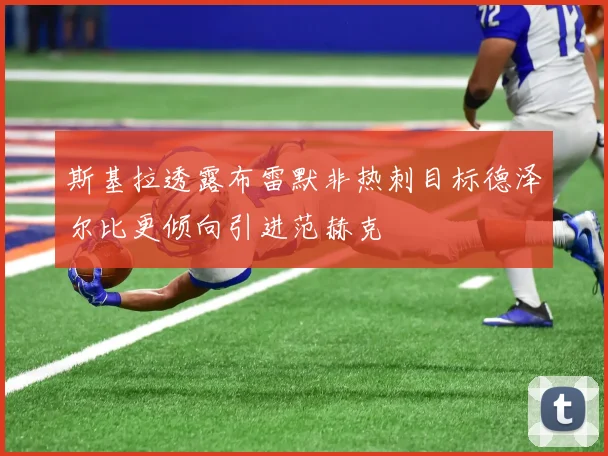 斯基拉透露布雷默非热刺目标德泽尔比更倾向引进范赫克