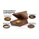 Shakuntla Vintage Table Top Wood Pillar Candle Holder - Pack of 1