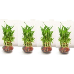 Green plant indoor - Green Wild Artificial Flowers With Pot ( Pack of 4 )