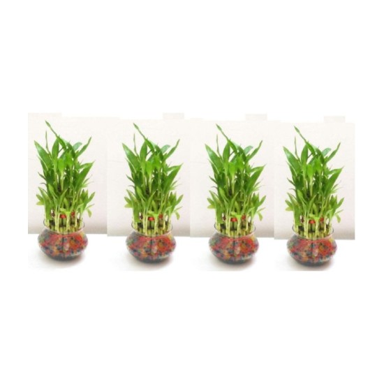 Green plant indoor - Green Wild Artificial Flowers With Pot ( Pack of 4 )