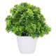 HOMETALES - Green Wild Artificial Bonsai ( Pack of 4 )