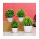 HOMETALES - Green Wild Artificial Bonsai ( Pack of 4 )