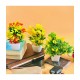 HOMETALES - Multicolor Evergreen Artificial Flowers With Pot ( Pack of 3 )