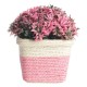 HOMETALES - Multicolor Wild Artificial Flowers With Pot ( Pack of 1 )